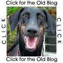 The Old Blog