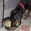 Lilian enjoys a big bowl of dinner