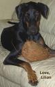 Lilian and her coconut on the sofa