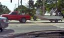 Golden in back of pick-up truck