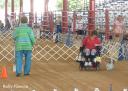 Jana and her Sheltie in Rally Novice