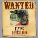 The Fleeting Flying Doberloon