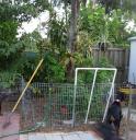 The little garden patch for corn and little pumpkins