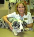 Taylor and Dr. Kuchar of South Federal Animal Hospital