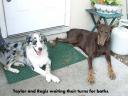 Taylor and Regis, the last two to have their baths