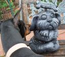 Must rub my snout lips all over this Buddha Dog’s ear.